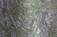 Little Hallam fibreglass roof work